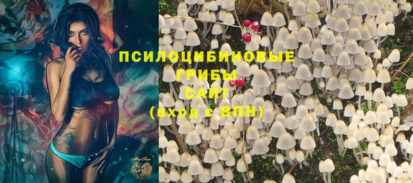 MESCALINE Аркадак