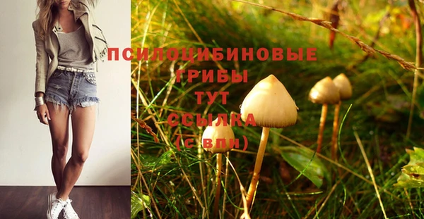метамфетамин Армянск
