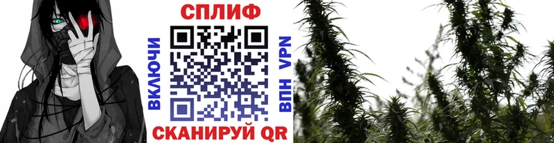 Конопля тримм  OMG ссылка  Хвалынск 